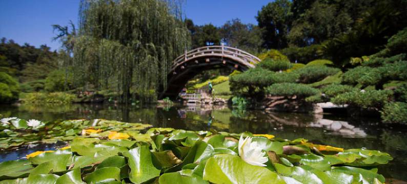 Residence Inn By Marriott Pasadena Arcadia(Residence Inn Pasadena Arcadia)图片