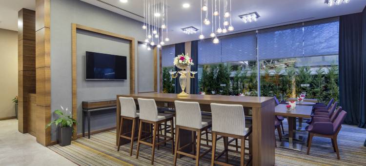伊斯坦布尔阿塔科伊希尔顿欢朋酒店(Hampton by Hilton Istanbul Atakoy)图片