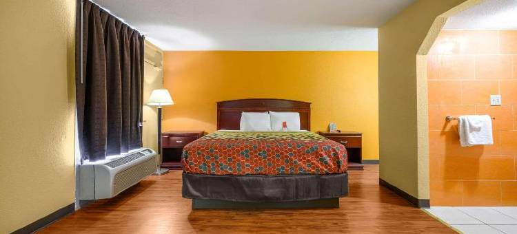 迪凯特伊克诺旅馆(Econo Lodge)图片