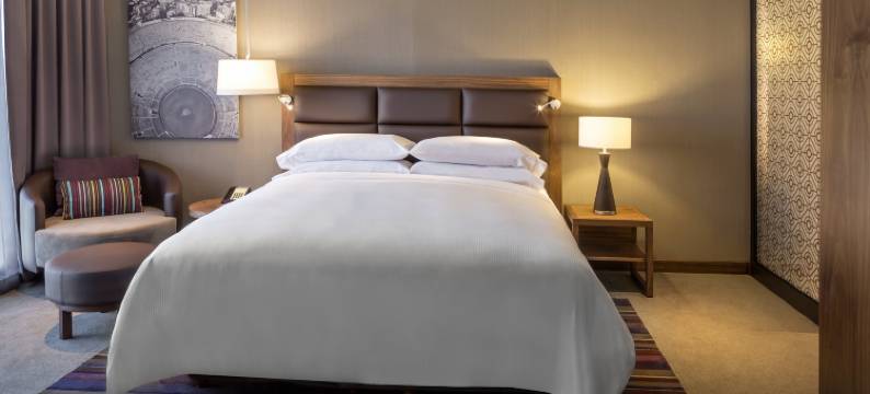 墨西哥托雷奥-美洲嘉年华(Fiesta Americana Mexico Toreo)图片