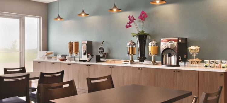 布兰普顿丽柏酒店(Park Inn by Radisson Brampton, on)图片