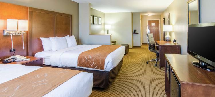 舒适套房酒店(Comfort Suites)图片