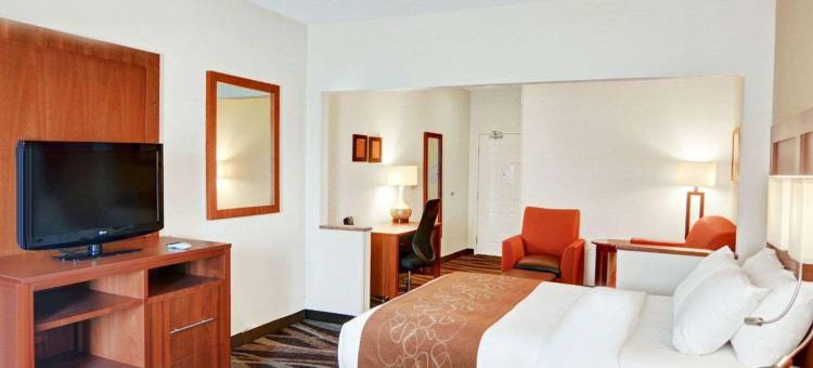 朗维尤北部舒适套房酒店(Comfort Suites Longview North)图片