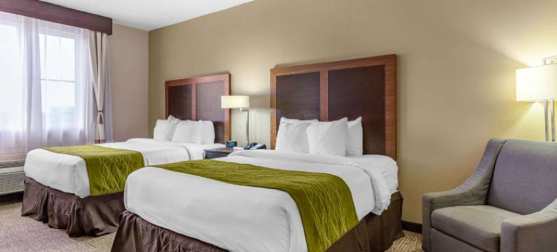 湖畔汽车舒适酒店及套房(Comfort Inn & Suites Lakeside)图片