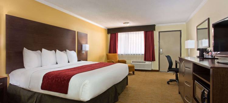 温德姆华美达-坦帕西岸机场南(Ramada by Wyndham Tampa Westshore Airport South)图片