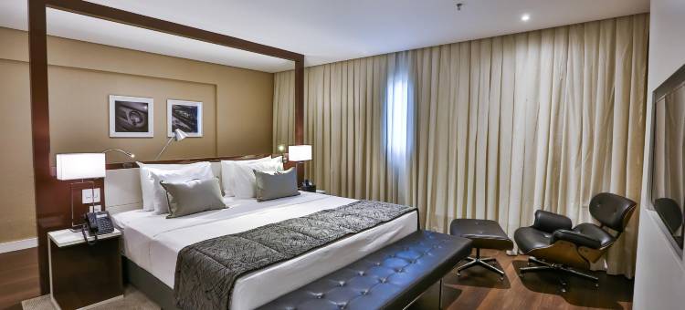 凯艺酒店-戈亚尼亚(Quality Hotel Flamboyant)图片