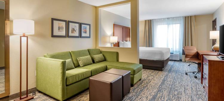 西德梅茵舒适套房酒店(Comfort Inn & Suites West des Moines)图片