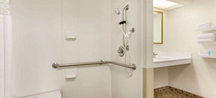 希尔顿欢朋套房酒店-塔彭斯普林斯(Hampton Inn & Suites Tarpon Springs)图片