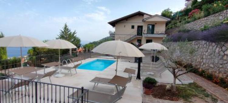 Apartment Antunovic图片