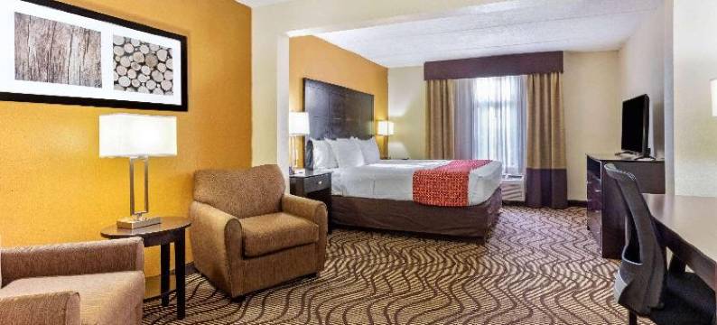 坦帕北I-75舒适套房酒店(Comfort Inn & Suites Tampa North I-75)图片