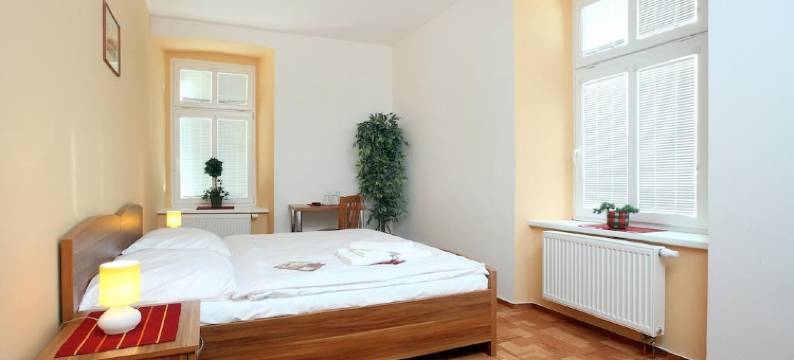 瓦利斯旅馆(Pension Wallis)图片