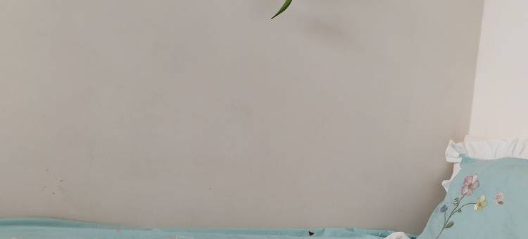 房东小渔儿公寓(鹰城大街1号分店)图片