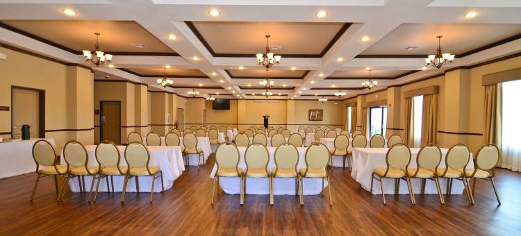 艾莫里福克湖贝斯特韦斯特优质套房酒店(Best Western Plus Emory at Lake Fork Inn  Suites)图片