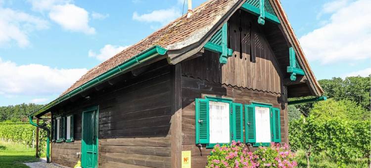 Awesome Home in Deutsch-schützen with 1 Bedrooms and Wifi图片