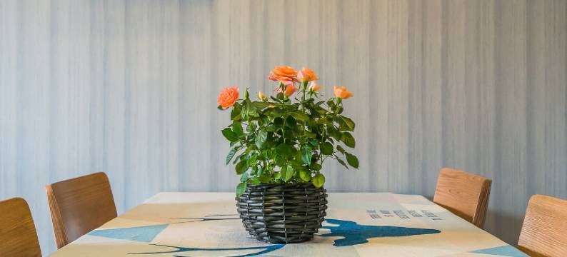 大熊民宿(含元路分店)图片