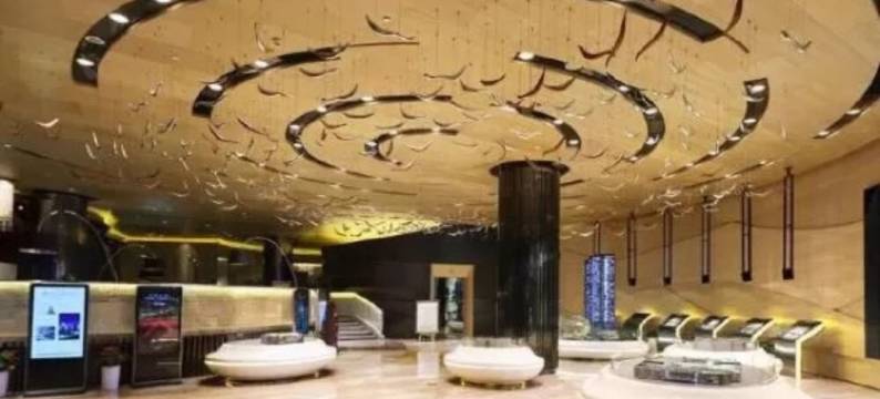 成都思格赛尔国际公寓图片