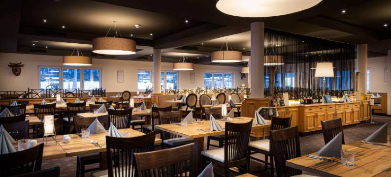 elaya hotel steinplatte, Trademark by Wyndham图片