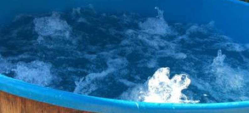 Maison Périgord Vert Piscine et Spa图片