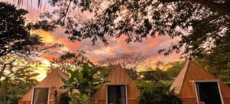 Pyramid Tamarindo图片