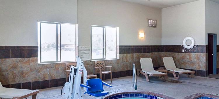 蒙那汉斯 I-20 舒适套房酒店(Comfort Inn & Suites Monahans I-20)图片