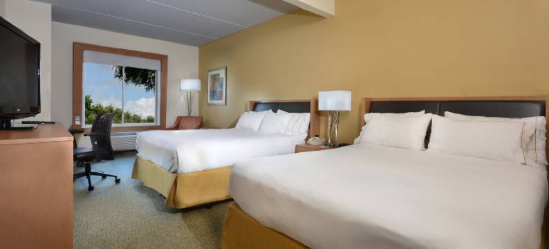 智选假日套房酒店高点南(Holiday Inn Express & Suites HIGH POINT SOUTH by IHG)图片