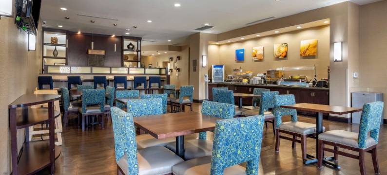 舒适套房酒店-诺曼湖亨特斯维尔(Comfort Suites Lake Norman - Huntersville)图片