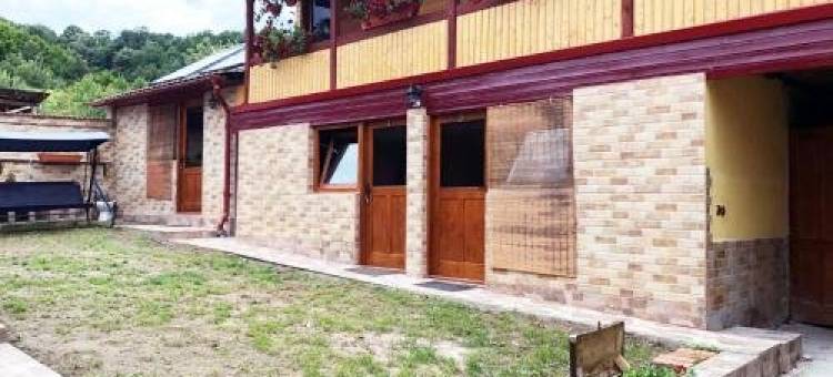 卡萨代瓦坎塔阿里桑德度假屋(Casa de Vacanta Alisande)图片