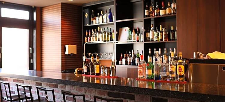 WING国际酒店-千岁(Hotel Wing International Chitose)图片