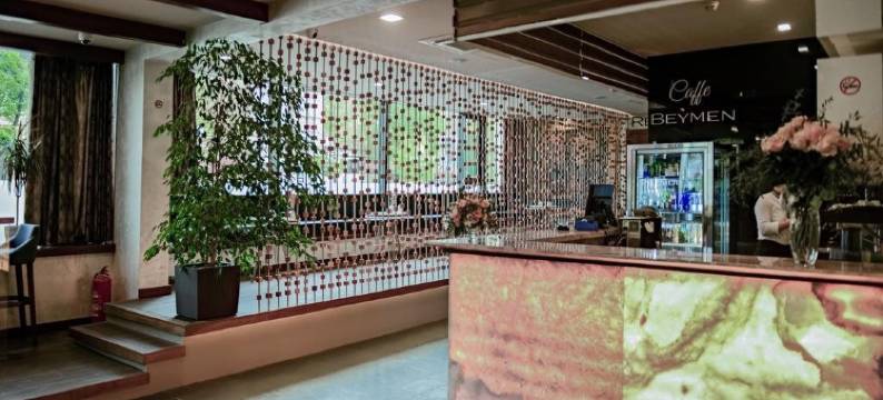 萨拉热窝总统酒店(Hotel President Sarajevo)图片