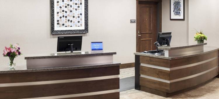 达拉斯普莱诺/理查森居家酒店(Residence Inn Dallas Plano/Richardson)图片
