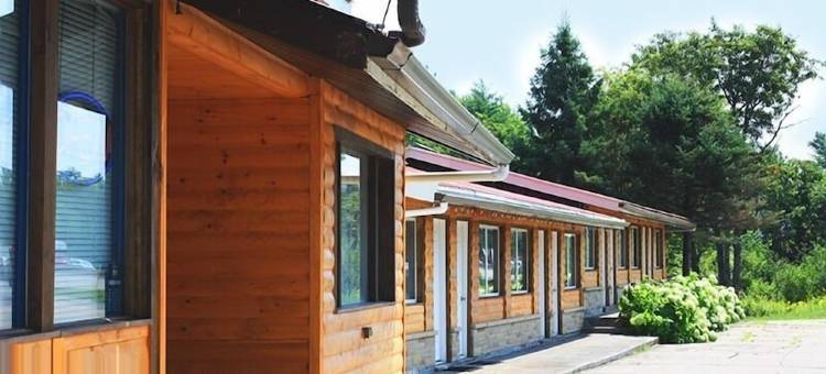 金松汽车旅馆(Gold Pine Inn Motel)图片