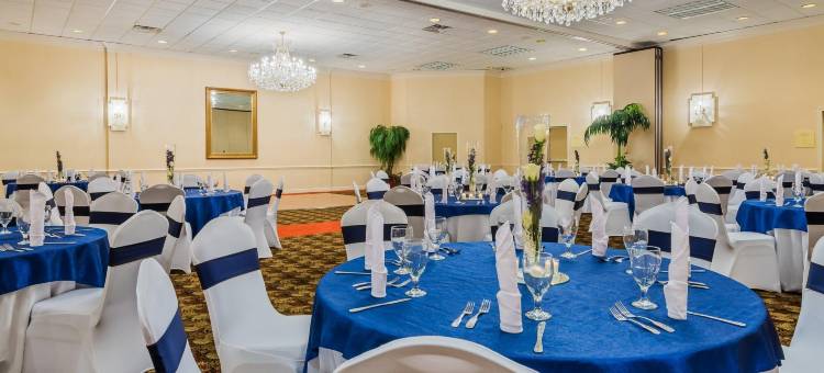 莫比尔商业历史区假日酒店(Holiday Inn Mobile-Dwtn/Hist. District)图片