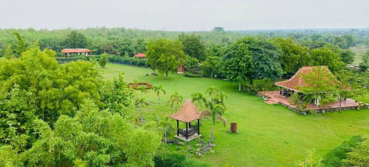 那格浦尔绿色天堂度假村(The Green Heaven Resort, Nagpur)图片