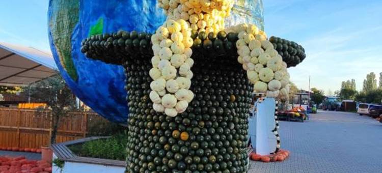 Bohrerhof乡村酒店(Landhotel Bohrerhof)图片