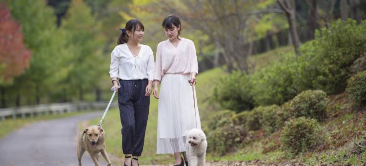 松阪天堂森林酒店(Matsusaka Wan Wan Paradise Forest Hotel)图片