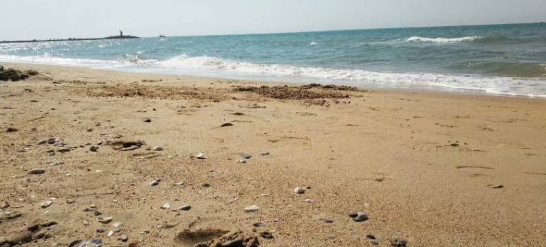 Le巢精品海景公寓(海韵路分店)图片