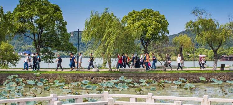 草木间·NATURE RETREAT山海湖艺墅(海盐南北湖景区店)图片