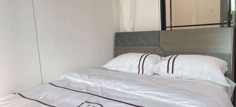 莱寓公寓(凤安路1号分店)图片