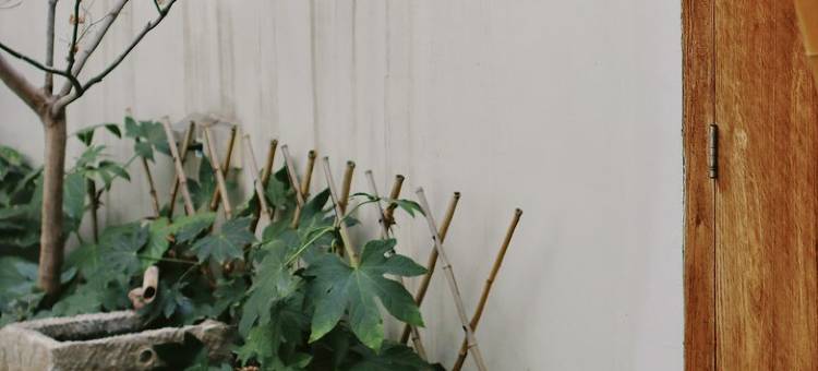 扬州六一居别墅图片