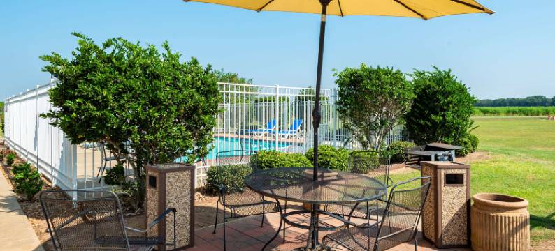 邦基骑士酒店(Knights Inn Bunkie)图片