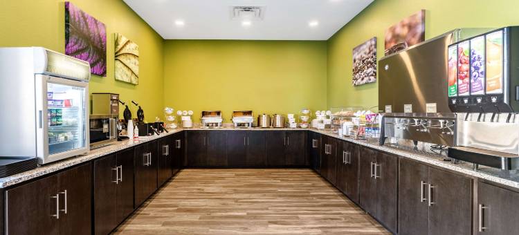 舒眠套房酒店(Sleep Inn & Suites Mt Hope Near Auction & Event Center)图片