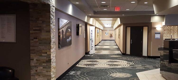 克拉丽奥套房酒店(Clarion Hotel & Suites)图片