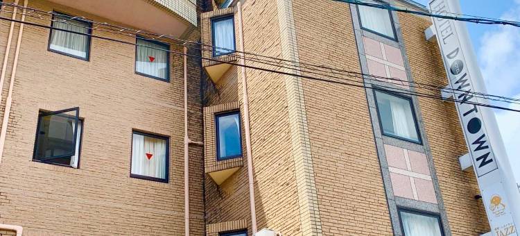 Downtown Hotel图片