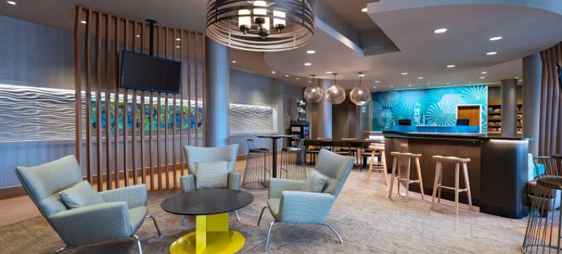 阿纳海姆主入口SpringHill Suites酒店(SpringHill Suites Anaheim Maingate)图片