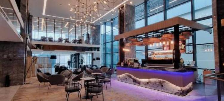 安那拉机场酒店(Anara Airport Hotel)图片