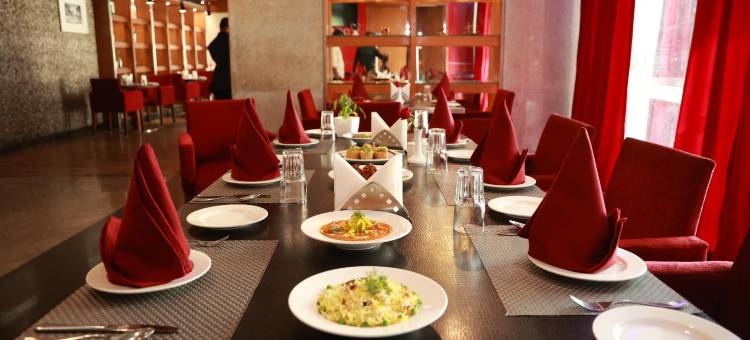 圣洛仑公园酒店(St Laurn Koregaon Park Pune)图片