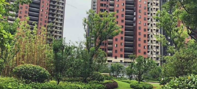 二宝妈小江公寓(红丰路1号分店)图片