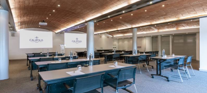 卡利波利斯酒店(Calipolis)图片