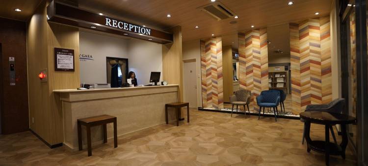 新盖亚酒店-饭冢(Hotel New Gaea Iizuka)图片