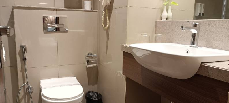 沙克蒂国际酒店(Hotel Shakti International)图片